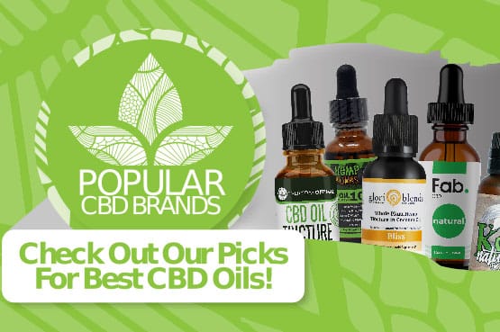 Best cbd oil