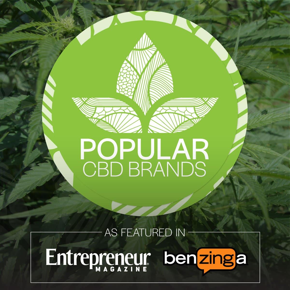 CBD Oil Hemp Oil Health