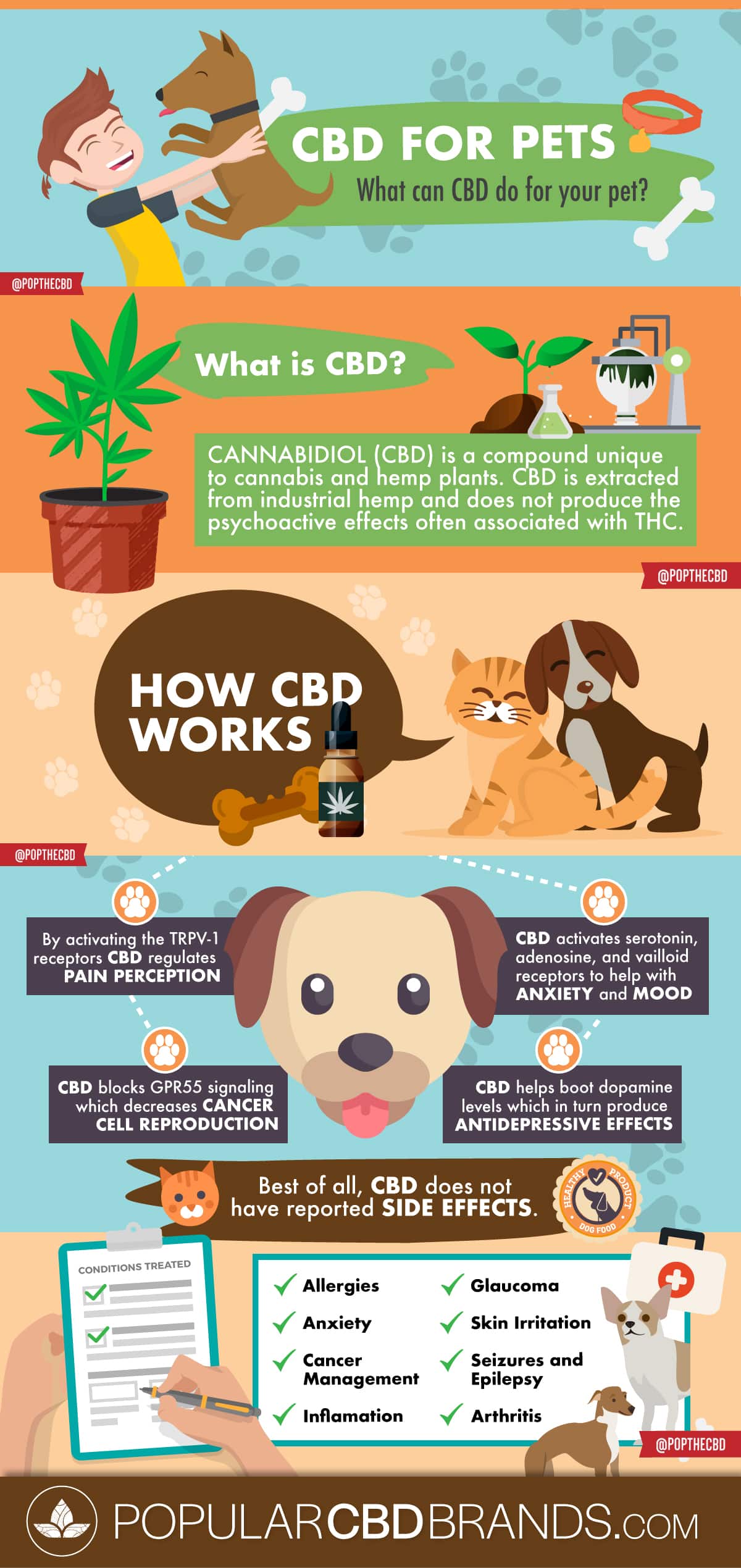 CBD Pets Oil Treats Cannabis
