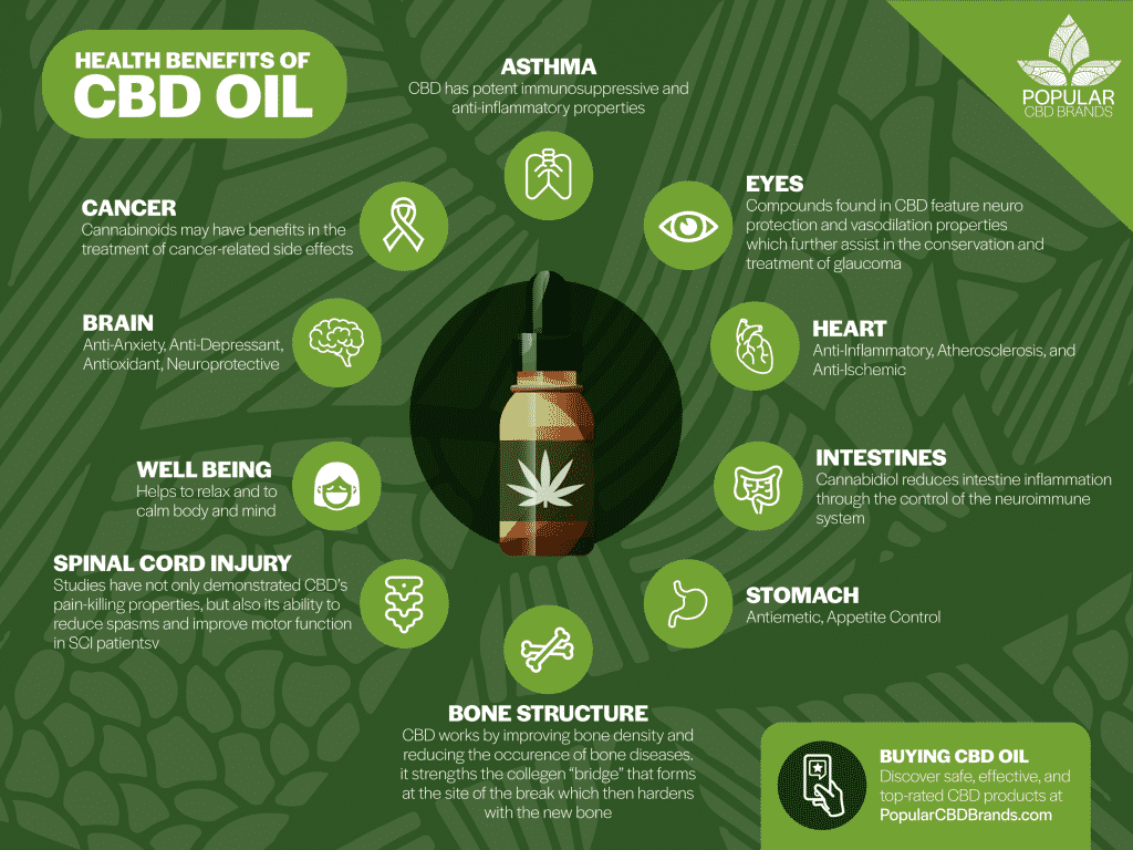 How to use CBD Oil – Facts about CBD