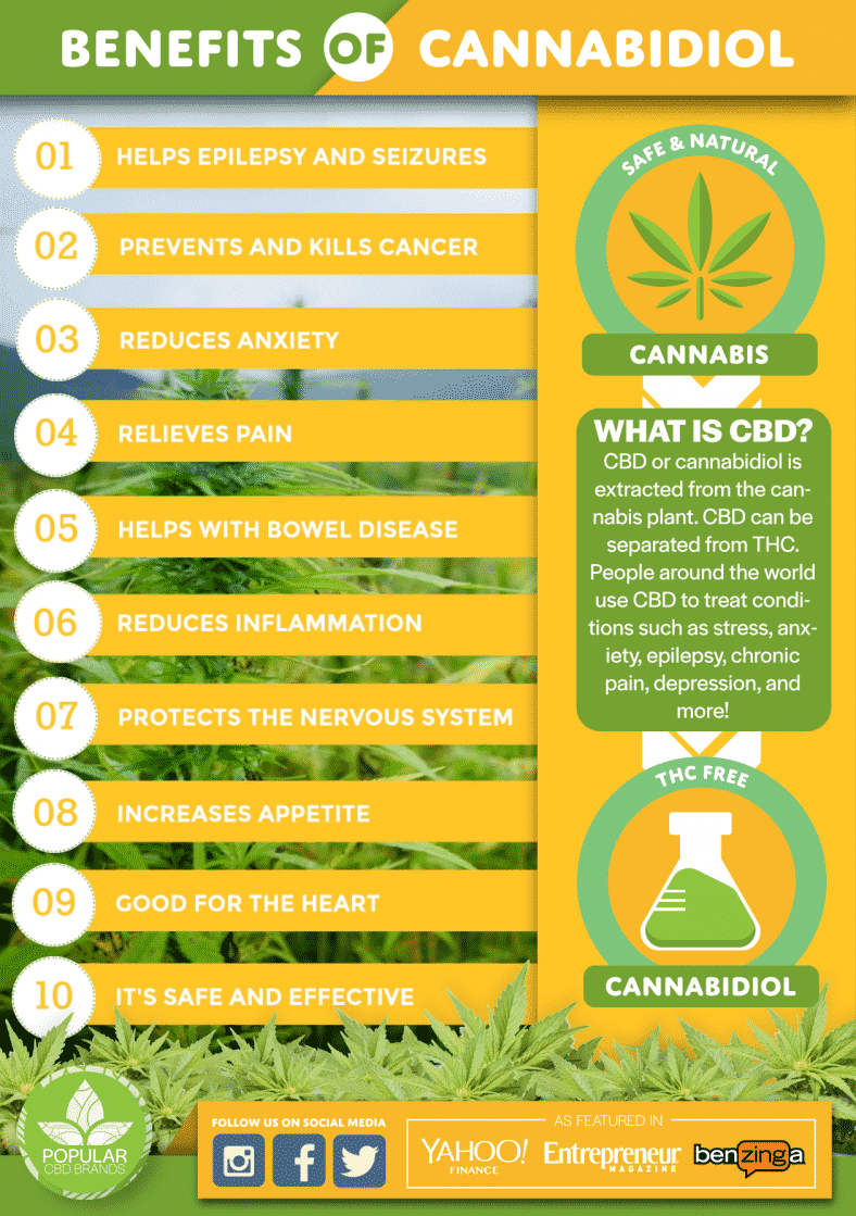 Best CBD oil - Benefits - Popular CBD Brands