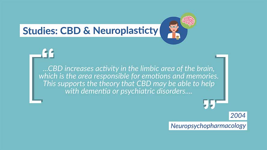 NeuroPlasticity CBD Brain Research