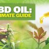 CBD-Oil Ultimate Guide