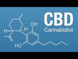 Understanding The Science of CBD (Infographic)