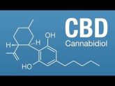 Understanding The Science of CBD (Infographic)