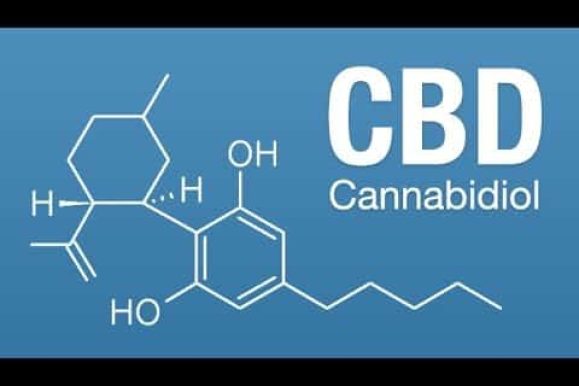 Understanding The Science of CBD (Infographic)