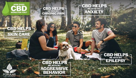 Does Young Living Sell Cbd Oil?