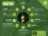 Benefits of Hemp Oil