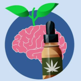 Can CBD Heal the Brain?