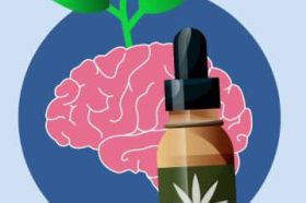 Can CBD Heal the Brain?