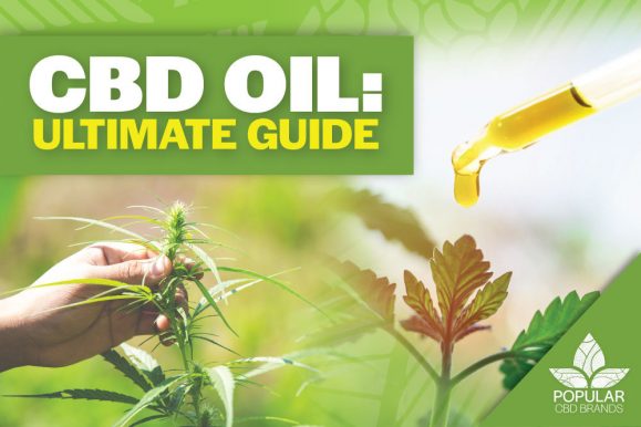 CBD Oil: The Ultimate Guide