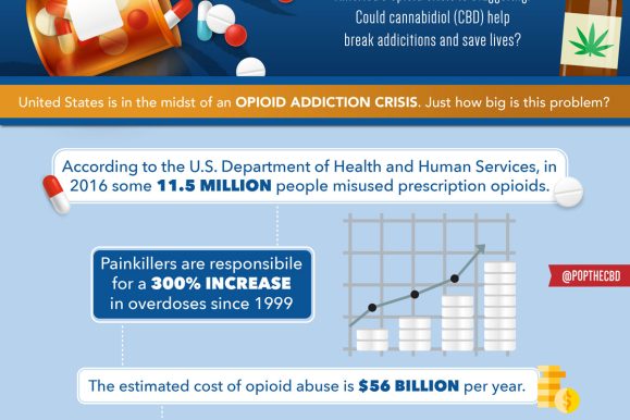 CBD Opiod Crisis Infographic