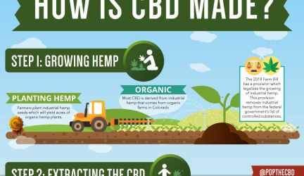 How is CBD Made?
