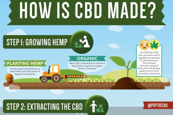 How is CBD Made?