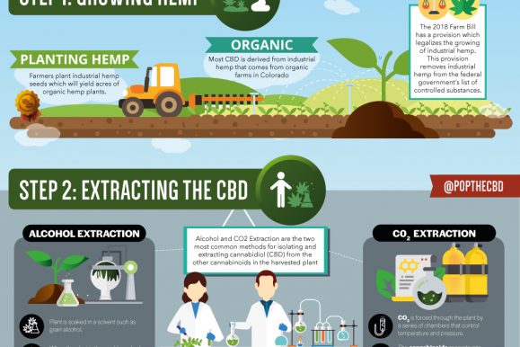 The Process Behind CBD Oil
