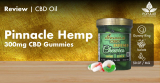 Pinnacle Hemp 300mg CBD Gummies – Review