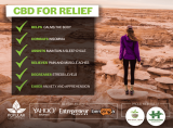 CBD For Stress