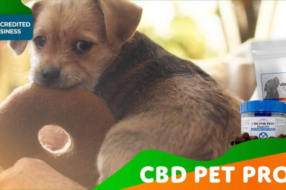 CBD Pet Products