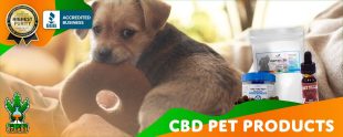CBD Pet Products