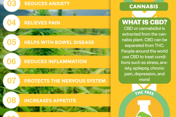 What is the STRONGEST CBD oil you can buy?