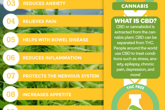 What is the STRONGEST CBD oil you can buy?