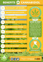 What is the STRONGEST CBD oil you can buy?