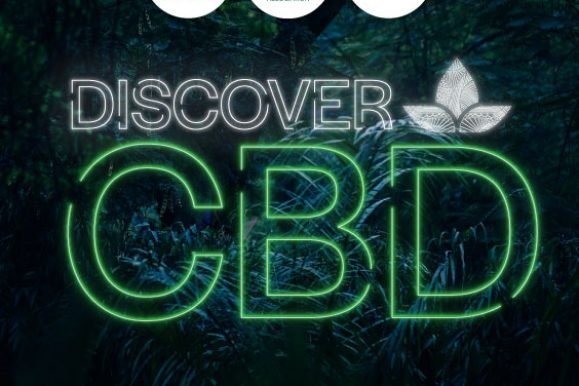 Best CBD OIL product