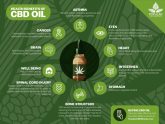 CBD Infographics