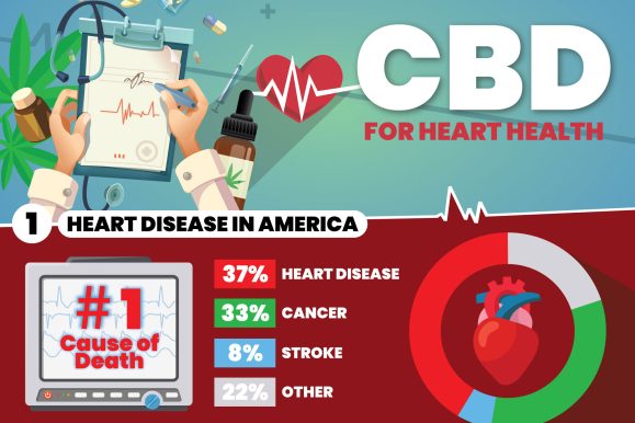 CBD For Heart Health