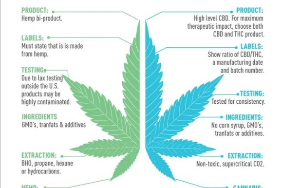 The Ultimate Guide for the Correct CBD Dosage
