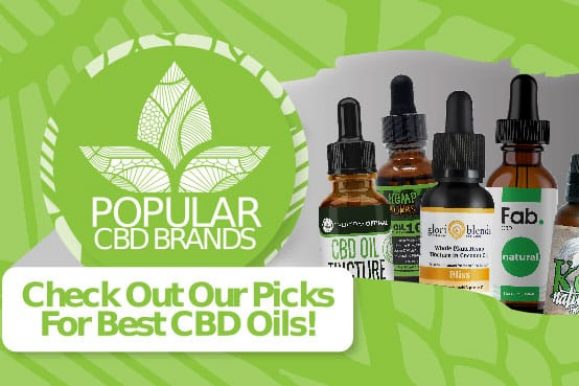 Best CBD Oil Brands for 2020: Reviews ...smartercbd.com