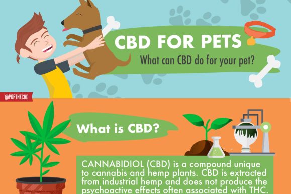 CBD for Pets
