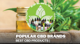 Best CBD Companies