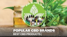 Best CBD Companies