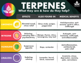 Terpenes