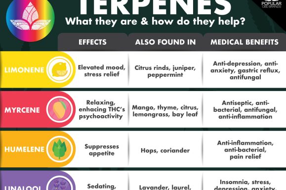 Terpenes