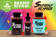 Sunday Scaries Review: CBD Gummies and More!