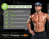 CBD Oil Provides Relief