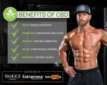 CBD Oil Provides Relief