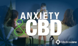 Top 5 Reasons to Try CBD Oil for Anxiety Relief