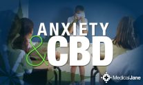 Top 5 Reasons to Try CBD Oil for Anxiety Relief