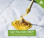 Can you Dab CBD? The Answers May Surprise You