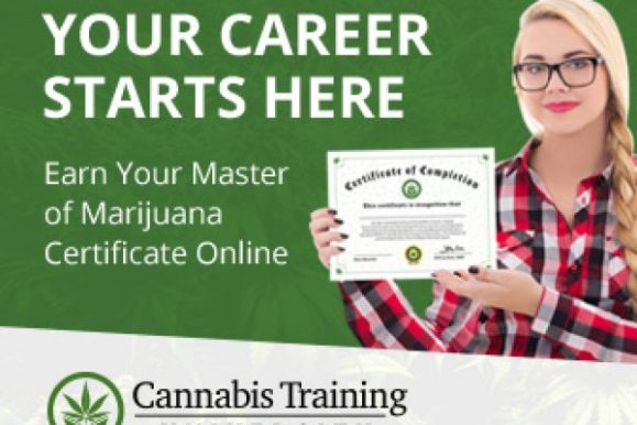 Cannabis Training University Review