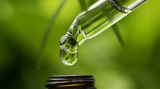 The Mystery Behind CBD and Our Endocannabinoid System