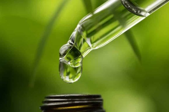 The Mystery Behind CBD and Our Endocannabinoid System
