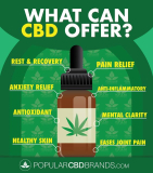 CBD Cannabis Oil and Its Health Benefits