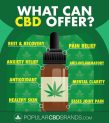 CBD Cannabis Oil and Its Health Benefits
