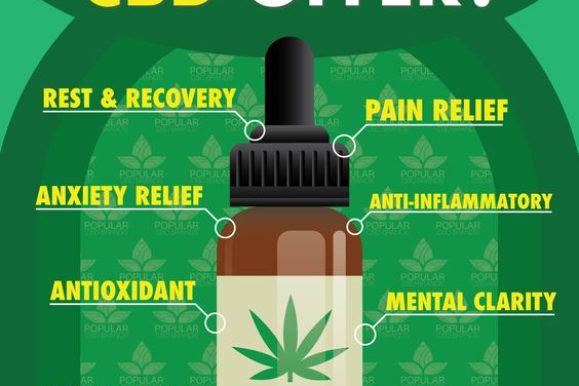 CBD Cannabis Oil and Its Health Benefits