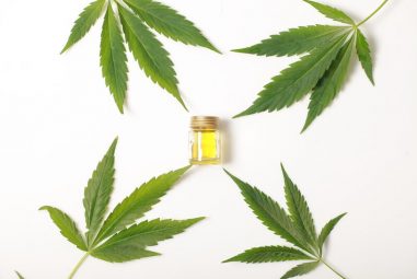 Hemp Oil vs CBD Oil